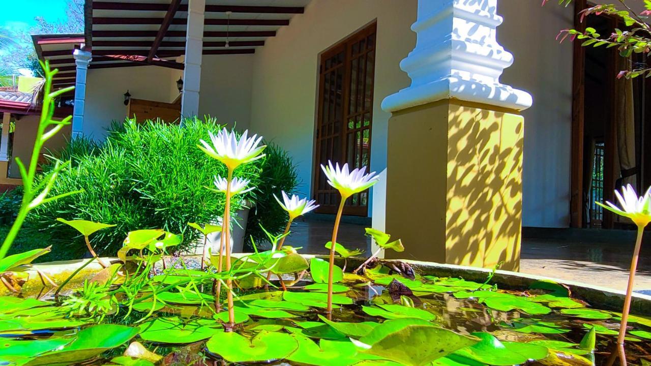 Greenville Resort And Spa Dambulla Extérieur photo